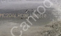 Eicher PRO8035XM Tipper